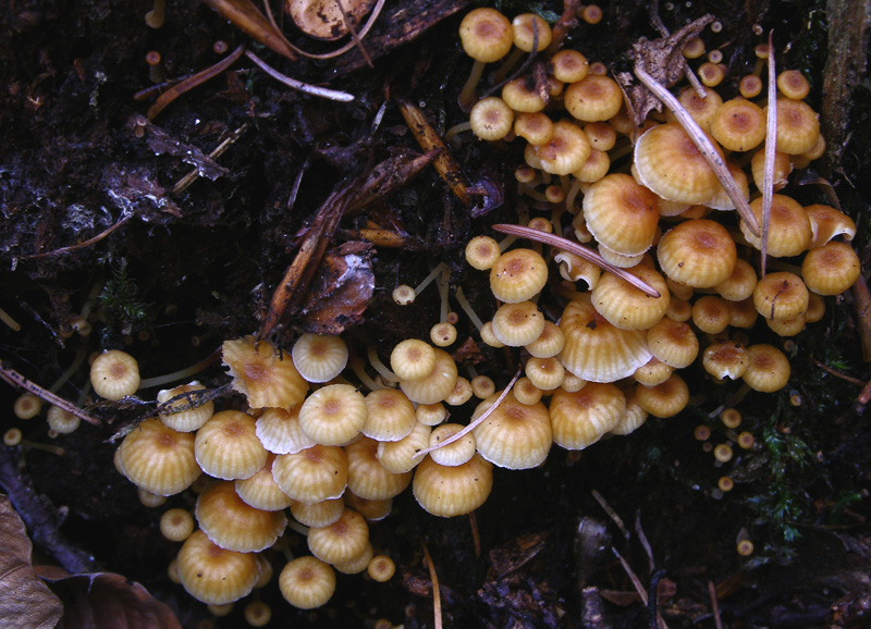 Ritrovamenti del 10 marzo.